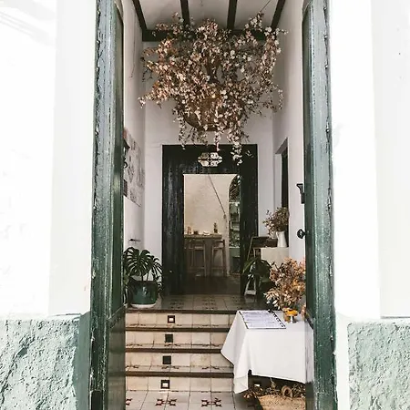 Dona Lola Conil De La Frontera